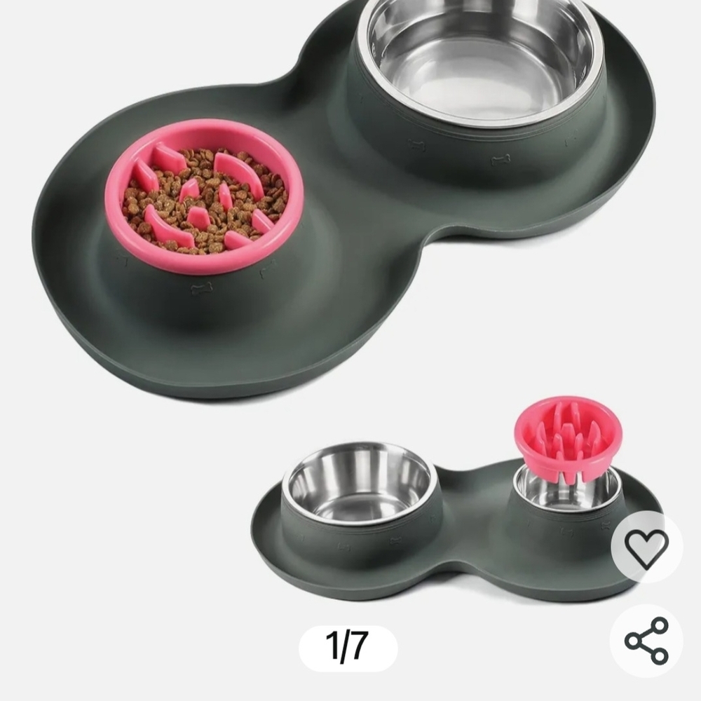 Dual Pet Feeding Station with Slow Feeder